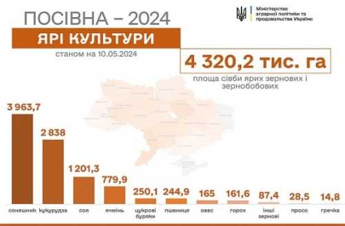 На контрольованій Україною території вже засіяно 4 млн 320,2 тис. га зернових та зернобобових культур. Посівна-2024: за тиждень засіяли ще 912 тис. га - INFBusiness
