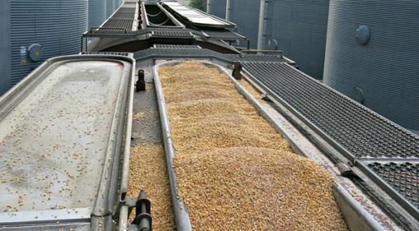 Експорт зерна залізницею через західні кордони продовжує скорочуватись - INFBusiness