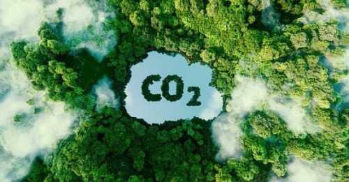 Агроклієнти Райфу зможуть отримувати додатковий дохід від зменшення викидів вуглецю - INFBusiness
