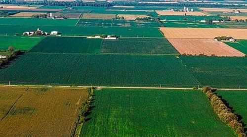 Учора, 20 травня 2024 року, Комітет з питань аграрної та земельної політики розглянув на своєму засіданні в режимі відеоконференції проект Закону «Про внесення змін до деяких законодавчих актів України щодо захисту інтересів власників земельних часток (паїв), а також застосування адміністративної процедури у сфері земельних відносин» (реєстр. №11150), підготовлений до другого читання, та рекомендував Верховній Раді прийняти його в цілому як закон. Комітет аграрної політики схвалив закон, який захищатиме власників земельних паїв - INFBusiness