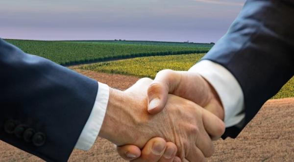 Активність бізнесу на ринку землі зростає - INFBusiness