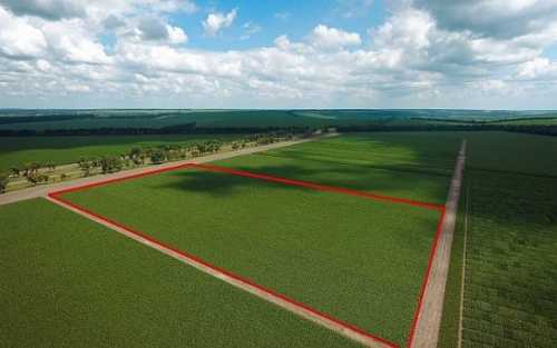 Найбільший попит на ринку землі мають колишні «підмораторні» землі - INFBusiness