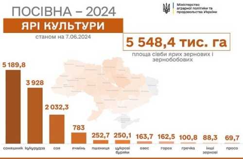Весняну посівну завершено: засіяли майже 13 млн га - INFBusiness