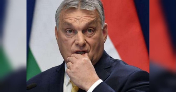 Угорщина вимагає визнати всю Закарпатську область «традиційно угорською», — ЗМІ - INFBusiness