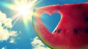 Миколаївщина почала збирати кавуни