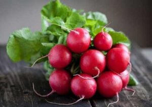 Збирати невигідно: польський фермер знищив поле з редискою