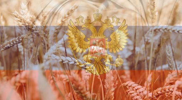 Методологія визначення вкраденого росією українського зерна майже розроблена - INFBusiness
