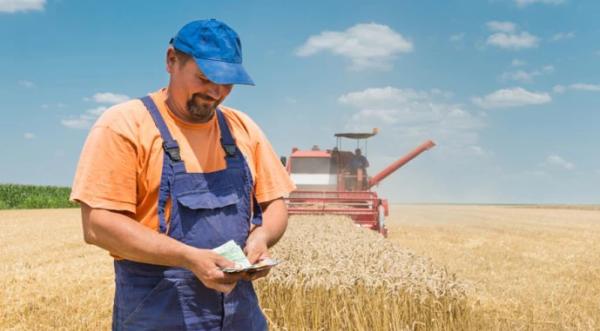 Зарплати в агросекторі України зростають - INFBusiness