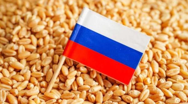 Україна втратила торік 8,5 млн т урожаю через окупацію півдня та сходу - INFBusiness