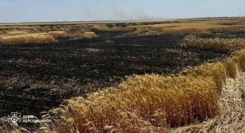На Херсонщині окупанти за допомогою дронів підпалюють поля з пшеницею - INFBusiness