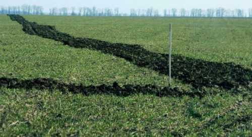 На Миколаївщині прокуратура повідомила про підозру директору одного із сільськогосподарських підприємств Кривоозерської територіальної громади за фактом самовільного зайняття земельної ділянки в охоронних зонах (ч. 2 ст.197-1 КК України). На Миколаївщині фермер самовільно захопив земельну ділянку - INFBusiness