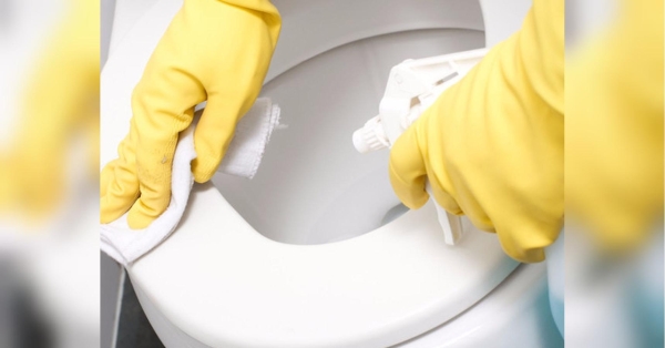 Марина Жукова як визнана «експертка з чистоти» знає не гірше за чоловіків, як пробити засмічення у трубах або випрати та висушити величезну важку ковдру. Унітаз буде як новий, без жодної цяточки: Марина Жукова порадила новий чудо-засіб - INFBusiness