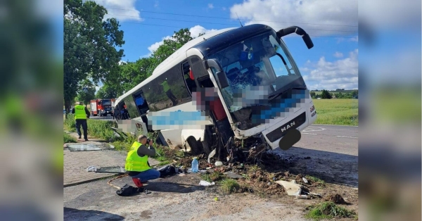 Нещодавно в Румунії у ДТП потрапив автобус із українцями, більше сорока з яких — неповнолітні. Дорожньо-транспортна пригода, в якій також постраждали діти, сталася й у Люблінському воєводстві Польщі. Понад десяток українців з дітьми постраждали внаслідок ДТП у Польщі - INFBusiness