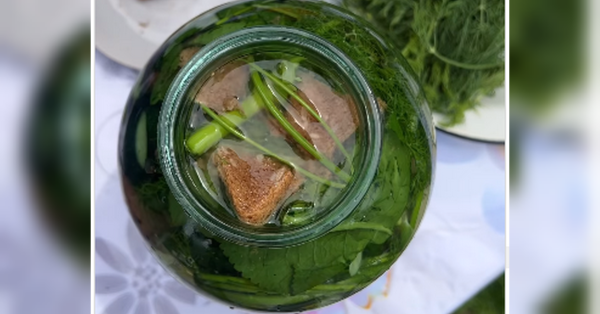 Вже почали з'являтися молоді маленькі огірочки, що смачні як квашеними, так і малосольними. Хрумкі малосольні огірочки: рецепт з «Бородинським» хлібом - INFBusiness