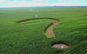 Обсяги ринку землі в травні виявились на 13% меншими за обсяги ринку у квітні, – KSE