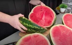 Ціни на кавуни за тиждень впали на третину