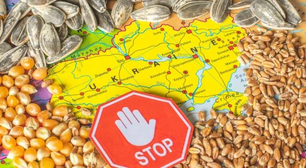 Молдова спростить транзит українського зерна - INFBusiness
