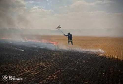 На Херсонщині знову горять поля з пшеницею - INFBusiness