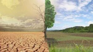 Мінагрополітики допоможе сільському господарству адаптуватись до кліматичних змін