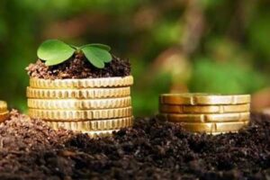 Протягом місяця Мінагрополітики розробить додаткові програми підтримки для аграріїв з прифронтових та деокупованих територій