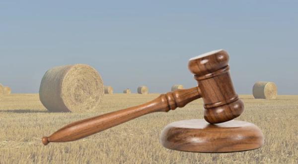 Землі НААН виставлять на аукціони вже на початку серпня - INFBusiness