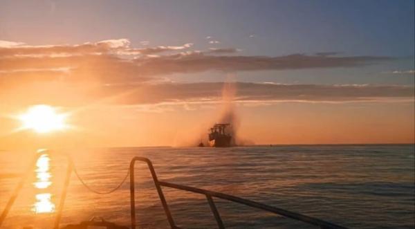 Україна планує приєднатися до країн НАТО для розмінування Чорного моря - INFBusiness