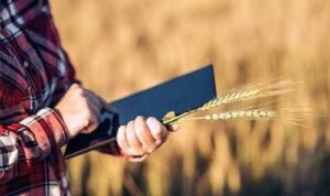 Рада прийняла у першому читанні законопроєкт про Державний аграрний реєстр