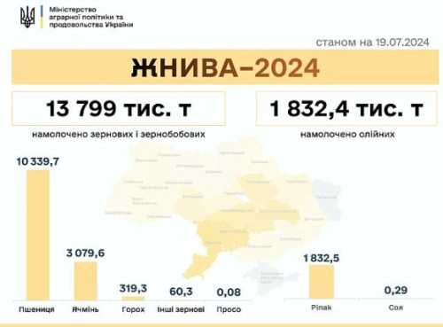 Жнива-2024: намолотили 15,7 млн т зернових та олійних - INFBusiness