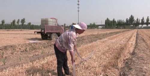 Посуха в Китаї: в деяких провінціях оголосили помаранчевий рівень небезпеки - INFBusiness
