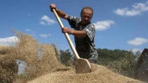 Адаптувати увесь аграрний сектор України за стандартами ЄС – неможливо й непотрібно, – Висоцький