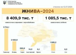 Жнива 2024: зібрали 9,5 млн тонн зернових та олійних