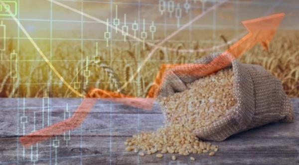 В УЗА пояснили, як діятиме закон про мінімальні ціни - INFBusiness