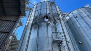 Елеватори страхуватимуть від воєнних ризиків