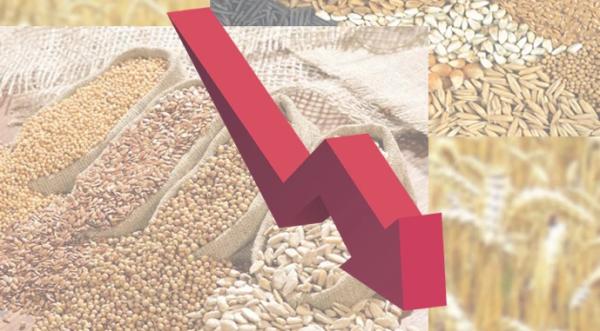 Україна у новому сезоні експортує на 22% менше зернових та олійних - INFBusiness