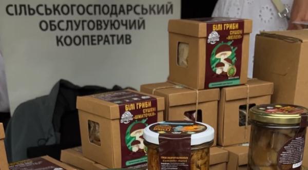 На Буковині стартував сезон заготівлі білих грибів - INFBusiness