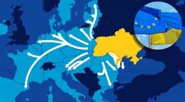 Словаччина не збирається скасовувати заборону на українську агропродукцію - INFBusiness