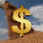 Україна активніше експортує зерно у новому сезоні - INFBusiness