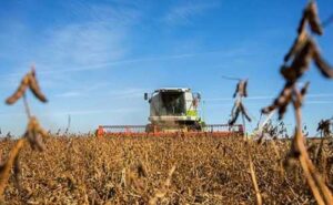 Жнива 2024: на Дніпропетровщині почали збирати сою