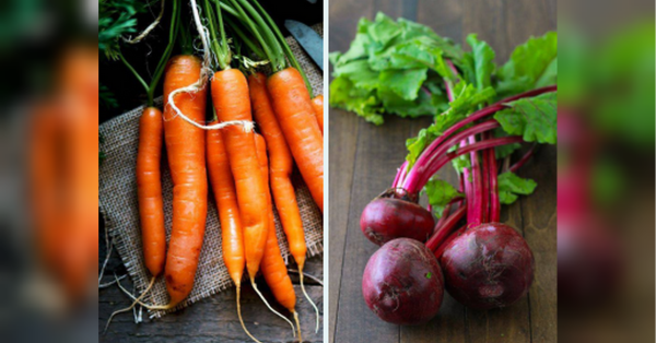 Моркву та буряк, які, як і інші овочі добре спримають кисломолочне добриво, можна підживити ще одним «бабусиним засобом», який готують лише з двох елементів. Виростуть великими і добре зберігатимуться: рецепт «бабусиного» підживлення для буряків та моркви - INFBusiness