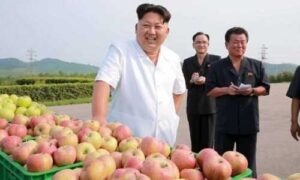 Росія збирається імпортувати яблука з КНДР