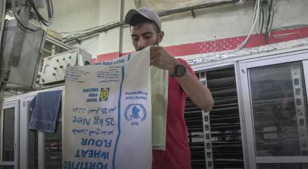 Grain from Ukraine: українське борошно прибуло до Гази - INFBusiness
