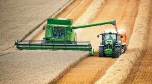 Жнива в Україні проходять на 2-3 тижні раніше, ніж зазвичай