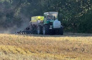 Гречки на Вінниччині посіяли в 2,5 рази менше, ніж минулого року