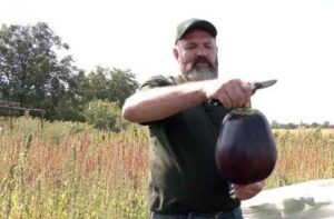 Мешканець Полтавщини виростив на городі баклажан вагою майже 2,5 кг, в планах – гарбуз 300 кг і кавун 90 кг