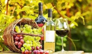 Закон «Про виноград та продукти виноградарства» почне діяти з 2026 року