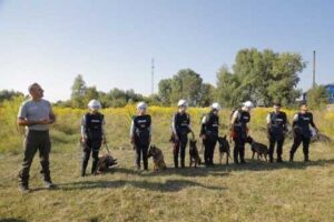 Поля на Харківщині розміновуватимуть кінологині з собаками