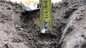 На постраждалих від військових дій полях виявлений надлишок нікелю – дослідження Corteva Agriscience