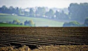 На отримання допомоги на гектар зареєструвалися 7 729 агровиробників, іншим доведеться чекати до жовтня