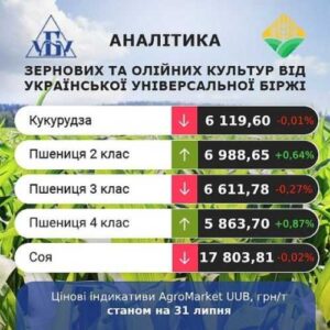 AgroMarket UUB: аналіз українського ринку зерна за 29-31 липня