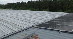 Завдяки сонячним панелям овочевий комбінат на Житомирщині економить до 100 тис. грн щомісяця